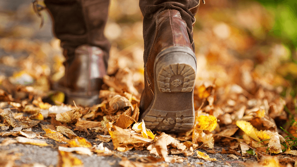 Autumn Walk